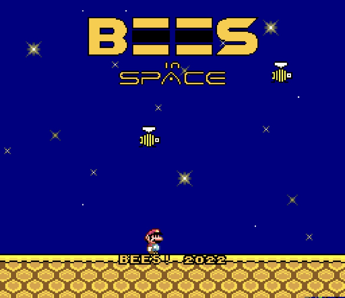 BEES in Space Game